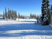 Inizio delle piste facili in montagna