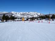 Facile pista a valle a Vestlia