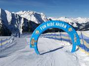 Suggerimento per i più piccoli 