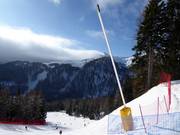 Cannone da neve a Folgàrida