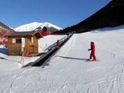 Suggerimento per i più piccoli 