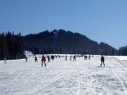Per principianti: pista facile e larga Roßalm (Winklmoosalm)