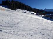 Pista di esercitazione in Silbis Winterwelt