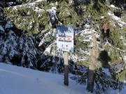 Rispetta i tuoi limiti