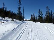Piste da sci di fondo a Trysil