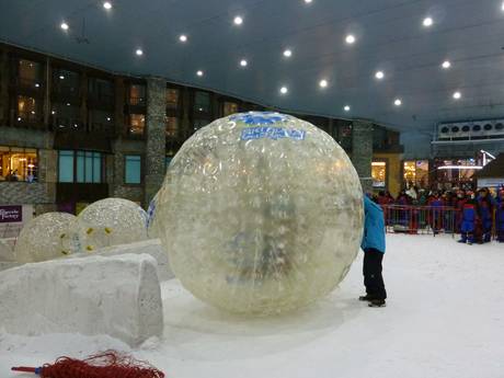 Comprensori sciistici per famiglie Asia Occidentale – Famiglie e bambini Ski Dubai - Mall of the Emirates