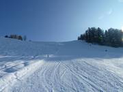 Vista dal basso sulla pista Fuchs