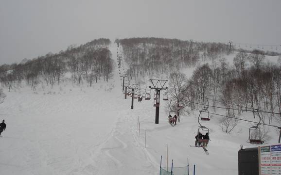 Maggior dislivello nella Ski Area Prince Snow Resorts – comprensorio sciistico Mitsumata/Kagura/Tashiro (Mt. Naeba)