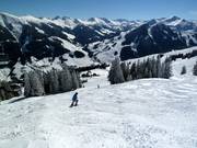 Varianti al Sunliner