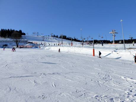 Comprensori sciistici per principianti in Polonia – Principianti Zieleniec