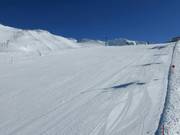 Preparazione perfetta delle piste