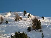 Pendii di neve fresca presso la sciovia Aela