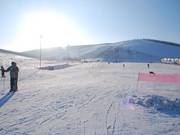 Pista per principianti