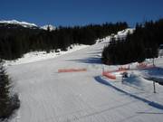 Ptarmigan sul Whistler Mountain