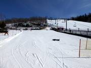 Tapis Magique Équilibre 1 - Tapis roulant