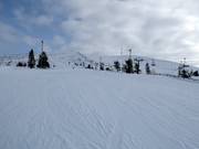 Pista Aurinkokurun Haipakka (n. 43)