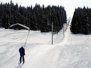 Molliettes - Skilift a piattello