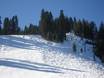 Comprensori sciistici per sciatori esperti e freeriding Sierra Nevada (US) – Sciatori esperti, freerider Homewood Mountain Resort