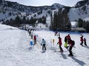 Area di esercitazione Chickadee con tappeto mobile