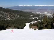 Pista Chalin Valog 1