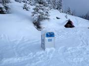 I cestini sono sempre a disposizione.