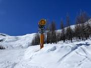 Cannone da neve ad alte prestazioni a Saas-Fee