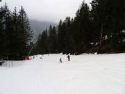 Pista facile des Planards