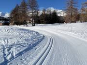 Pista di sci di fondo Golf a Crans