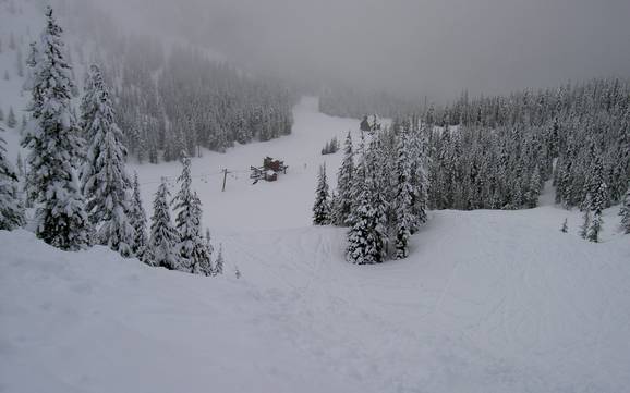 Oregon: Dimensione dei comprensori sciistici – Dimensione Mt. Hood Skibowl