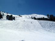 Discesa Almabfahrt (Fiss)