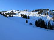 Vista sulle discese del Mount Standish