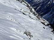 Vista sulla pista da slittino lunga 5 km