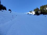 Pista difficile Rosengasse