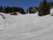 Facile discesa a valle Reuti