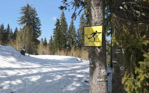 Sci di fondo Smoljan – Sci di fondo Pamporovo