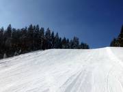 Nella parte inferiore ci sono anche piste di media difficoltà.