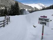 Pista da fondo in Ochsengarten