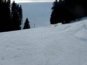 Discesa Kaltwasser prima dell'immissione nella discesa Donauwellen