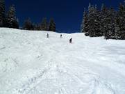 Varianti al Sunliner