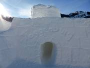 Suggerimento per i più piccoli  - Toggenburg