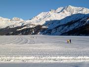 Pista da fondo in Maloja