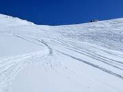 Pendii freeride Brytnest-Grieschumma