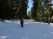 Pista di collegamento alla cabinovia Yastrebets
