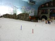 La zona principianti inferiore