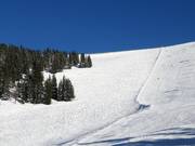 Pendii di neve fresca presso la seggiovia Kühhageralm