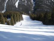 Ampia e ripida discesa nel bosco