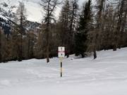 Vietato sciare nelle aree boschive