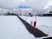 Snowsports School - Tapis roulant/Tappeto Magico