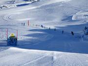 Settore 03: YIPPY Yeah-Percorso