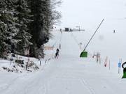 Muli II - Manovia/Babylift a fune bassa